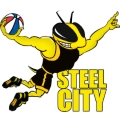 Steel City Yellow Jackets logo