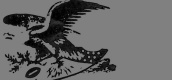 American Football Association logo