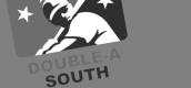 Double-A South logo