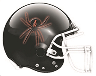 Birmingham Black Widows helmet