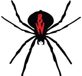 Birmingham Black Widows logo