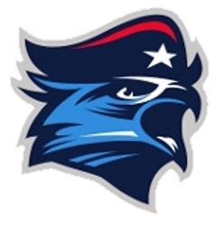 Birmingham Freedom logo