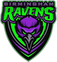 Birmingham Ravens logo