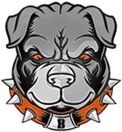 Birmingham Steeldawgs logo