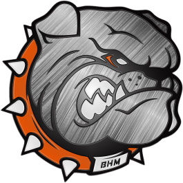 Birmingham Steeldawgs logo