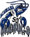 Acadiana Mudbugs logo