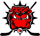 Brewster Bulldogs logo