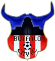 Buffalo City FC logo