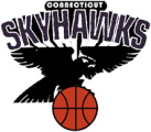 Connecticut Skyhawks logo