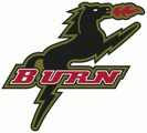 Dallas Burn logo