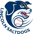 Lincoln Saltdogs logo