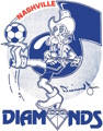 Nashville Diamonds logo
