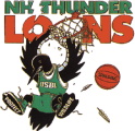 New Hampshire Thunder Loons logo