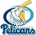 Pensacola Pelicans logo