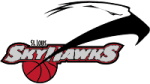 St. Louis Skyhawks logo