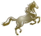 St. Louis Stampede logo