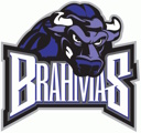 Texas Brahmas logo