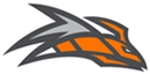 Virginia Swarm logo