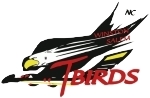 Winston-Salem T-Birds logo