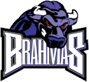 Texas Brahmas logo
